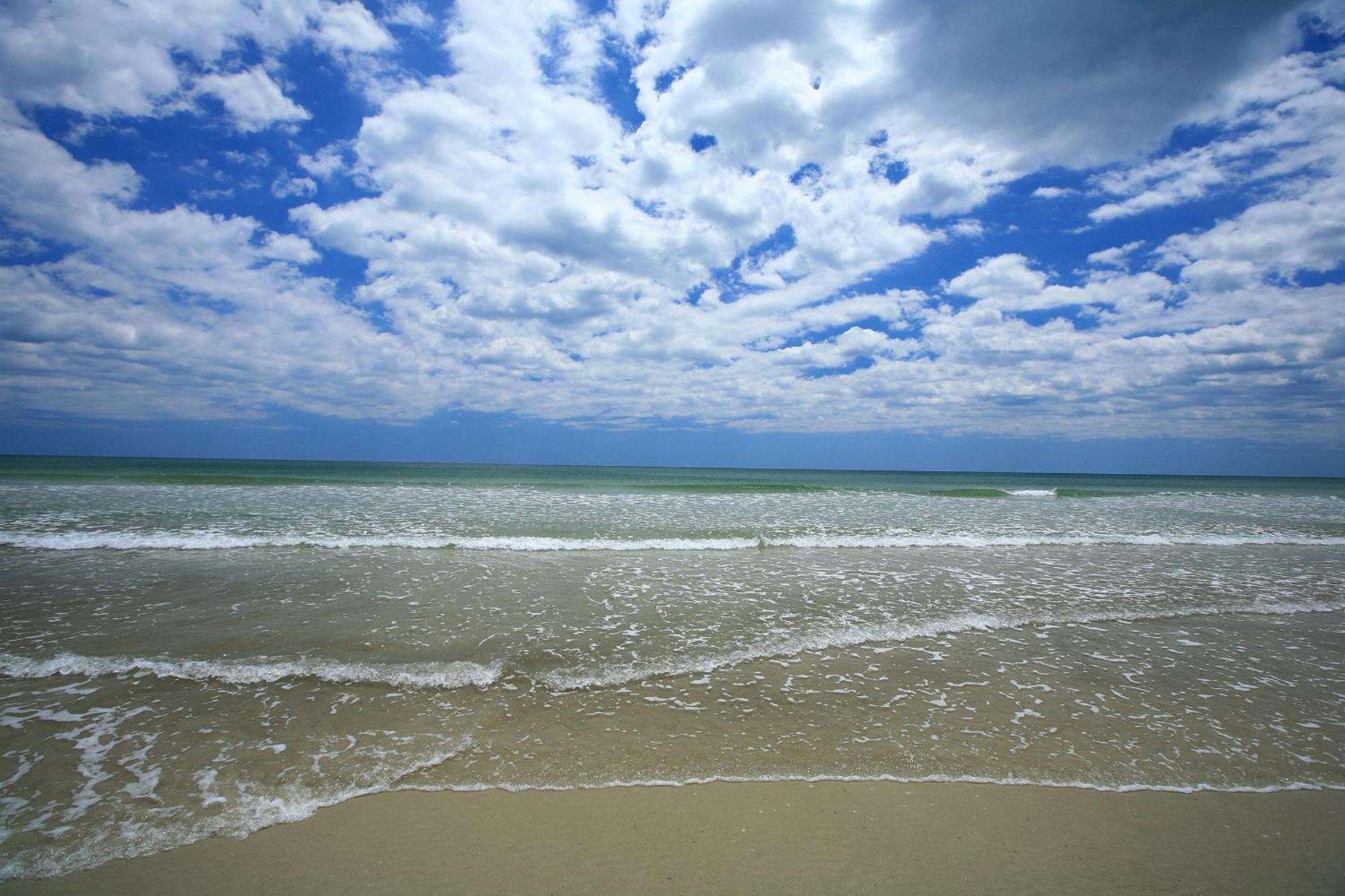 Guy Harvey Resort On Saint Augustine Beach Eksteriør billede