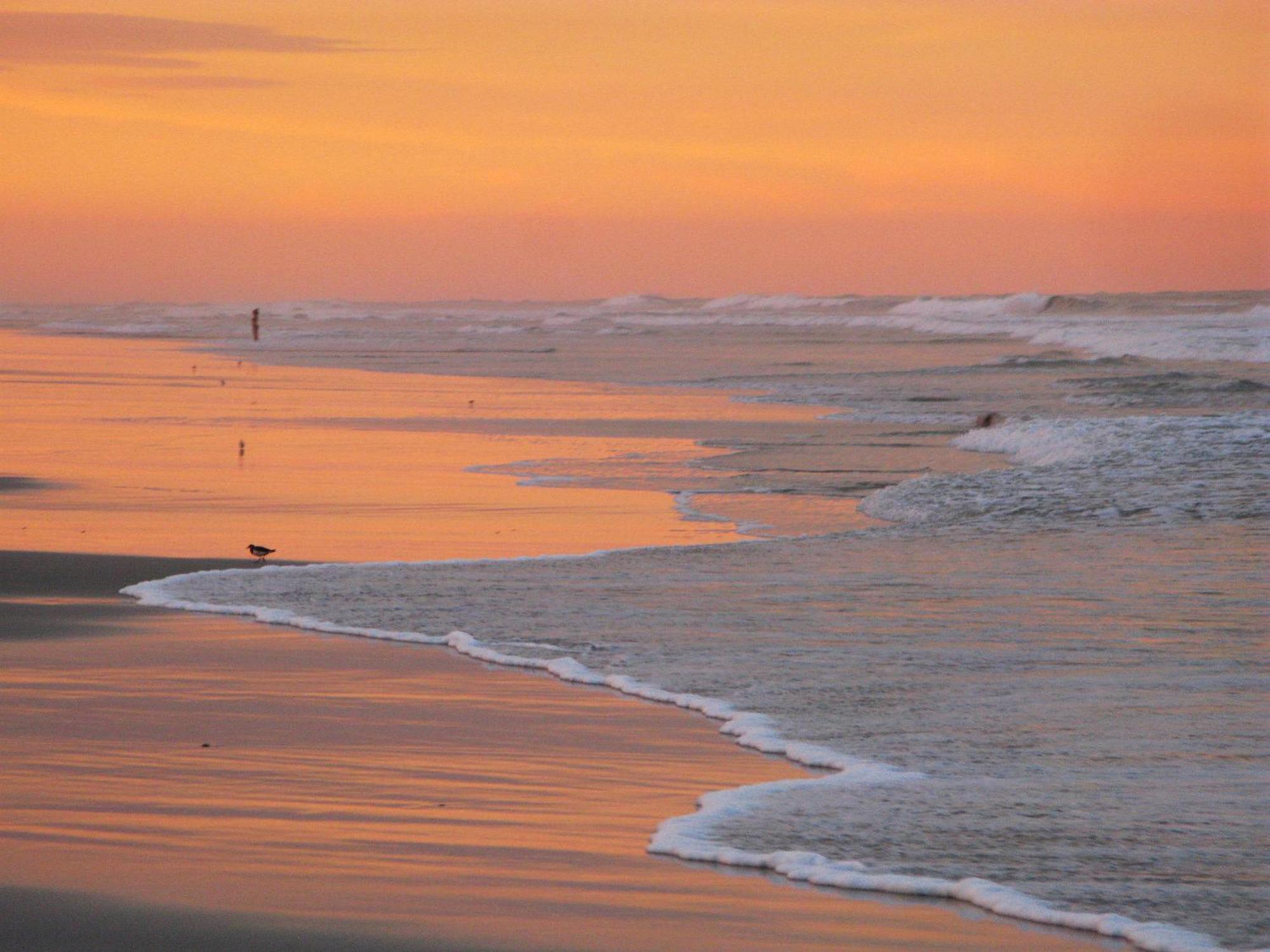 Guy Harvey Resort On Saint Augustine Beach Eksteriør billede