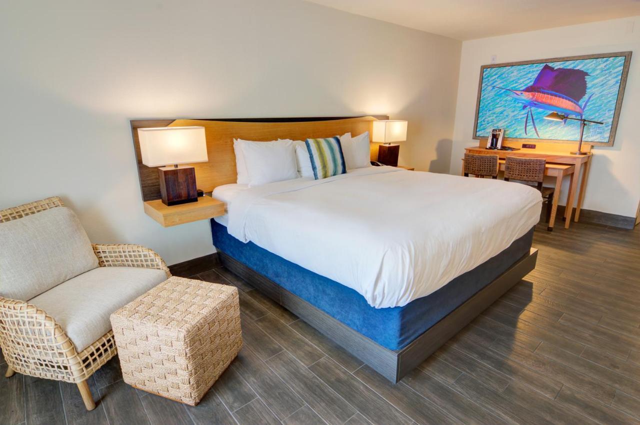 Guy Harvey Resort On Saint Augustine Beach Eksteriør billede